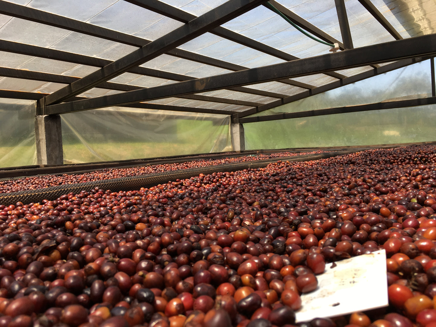 Colombia Decaf Tolima-Fresno